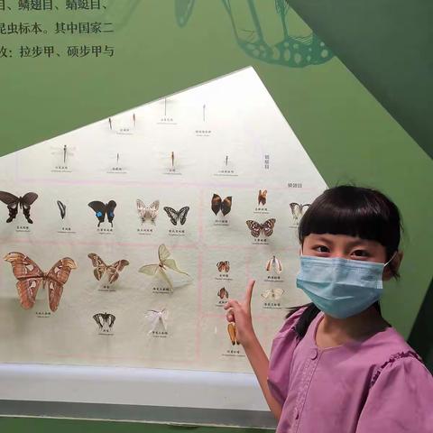 我的科学暑假作业