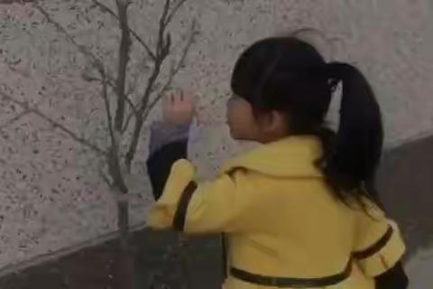 无意间的翻出觉得挺可爱