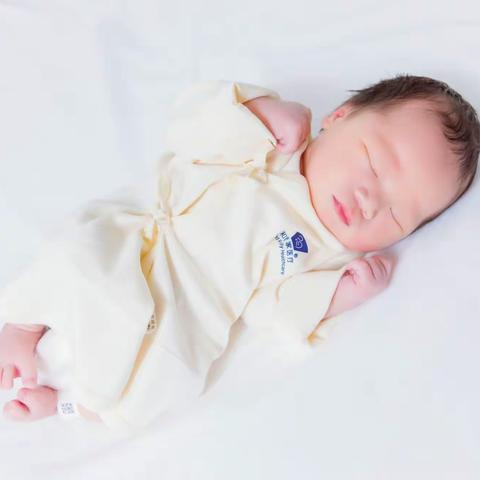 小火锅的出生日记