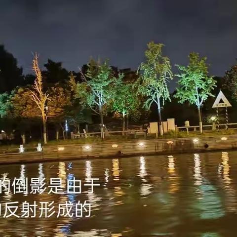 观物之美，察之以理