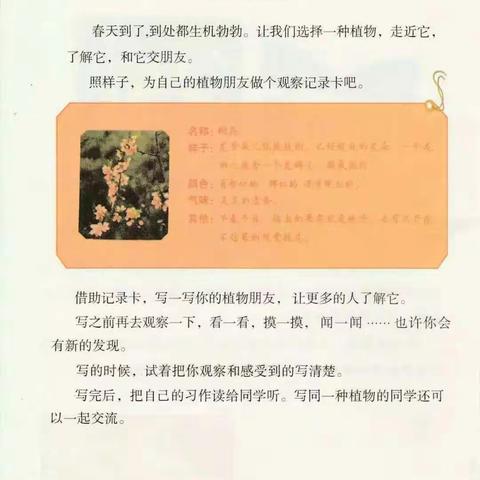 滨河路小学三年级二班五一活动