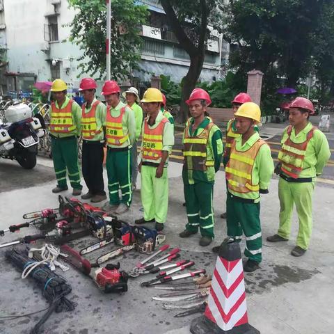 万年春公司福田区D标段2019年8月24日台风防台风应急准备工作报告