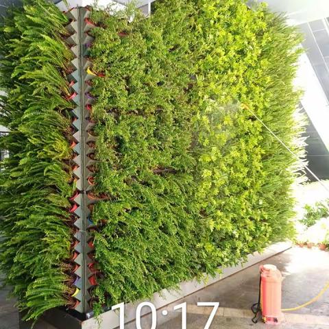 地下广场垂直绿化整改报告