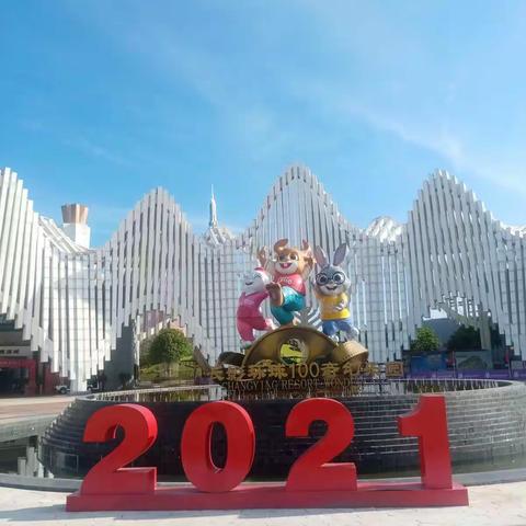 宝长物业本周绿化补植工作的报告