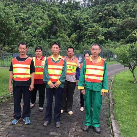 梅花养护项目台风应急准备工作报告