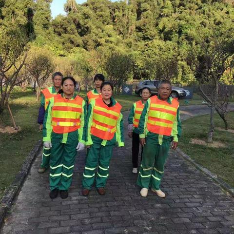 福田梅花精品养护项目2019年11月4日工作报告