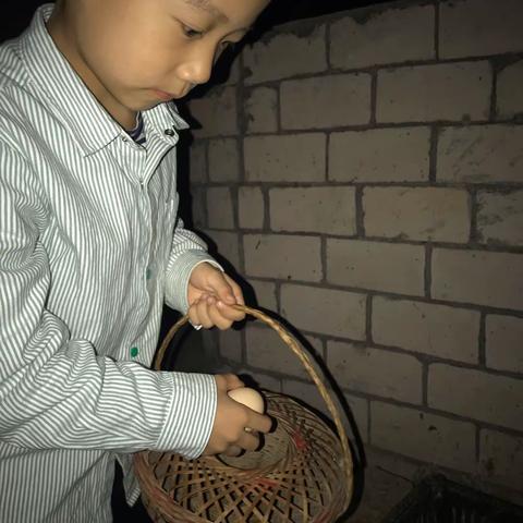 金秋——收获的季节