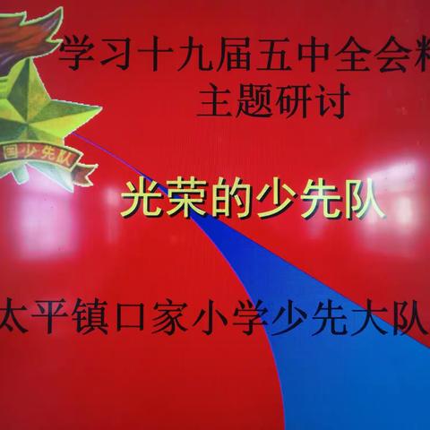 太平镇口家小学少先队贯彻学习《十九届五中全会精神》主题活动