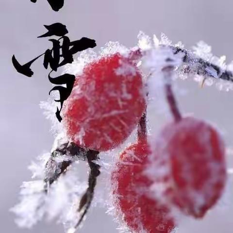 临港第一幼儿园—小雪节气