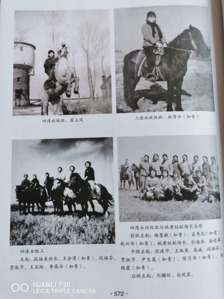 《难忘的岁月》四方山军马场回忆录