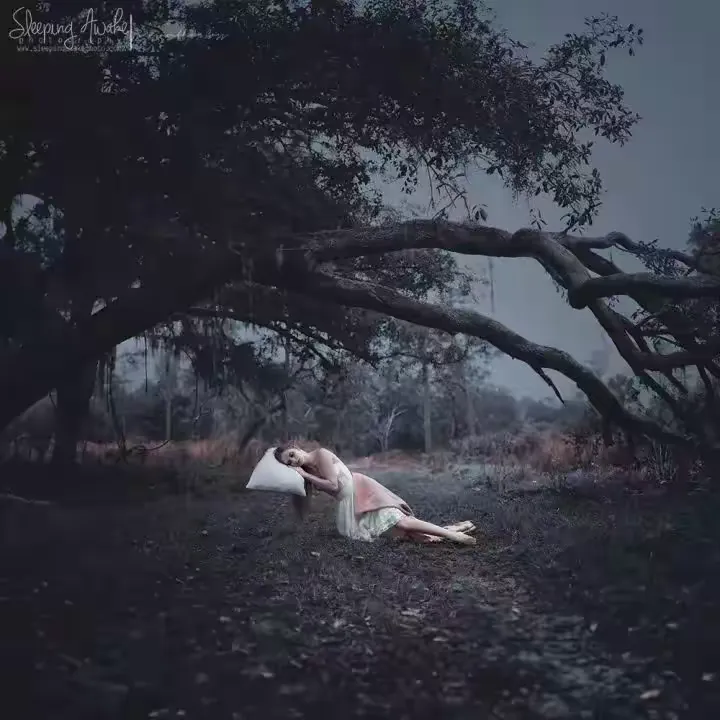 梦游蛇影，恐惧与释然的交织之旅