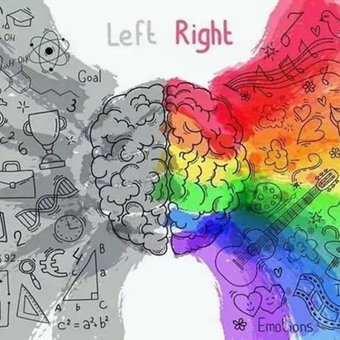 《不输在家庭教育上》——孩子的大脑发育有三次高峰期