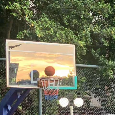 篮球🏀比赛——22级园林大专