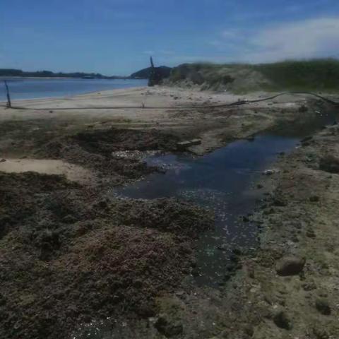 为加强“湖长制”制度的落实，7月27日我村持续对黎安泻湖周边环境卫生进行整冶及虾塘排污口填埋处理。