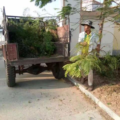 青山绿水的美篇