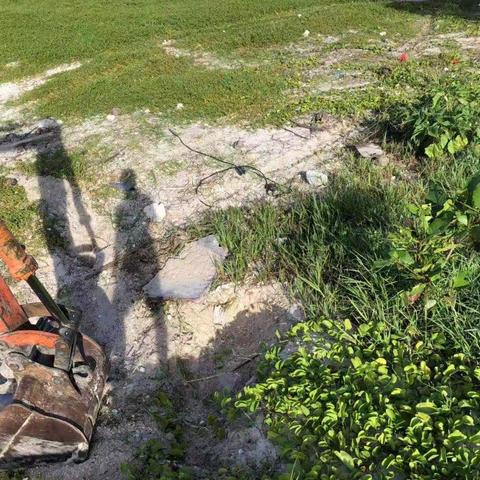 为加强“湖长制”制度的落实，7月28日我村持续对黎安泻湖周边环境卫生进行整冶及虾塘排污口填埋处理。