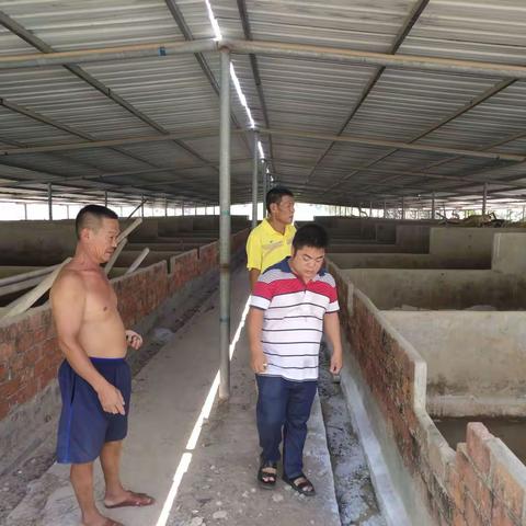 青山绿水的美篇