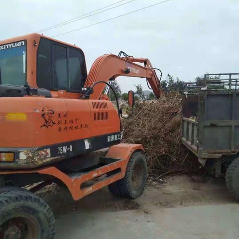 青山绿水的美篇