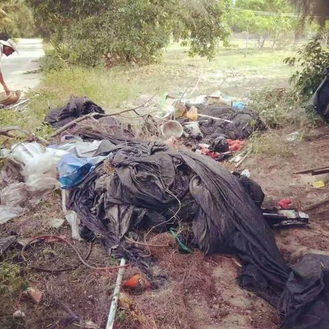 7月23日我村两委干部.挂职委员.经济社长以及各支部书记继续对村辖区，道路及周边陈年垃圾进行清理整治。