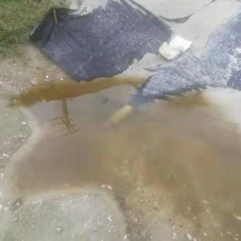 黎安镇对黎安泻湖周边环境卫生.排污口进行整冶