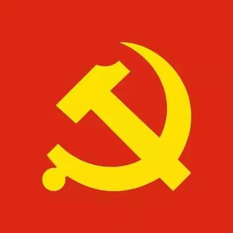 凤山镇西门社区党总支部圆满完成换届选举工作