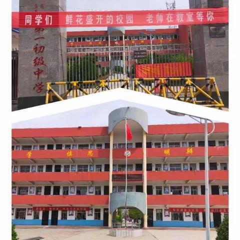 东岳中学师德先进个人—郑晓丽个人事迹简介