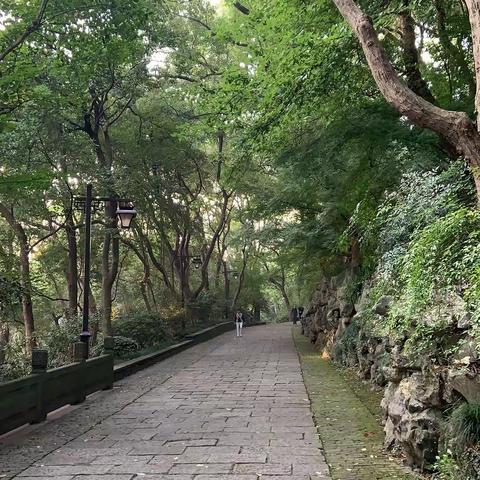 癸卯八月三十（20231014）巡山