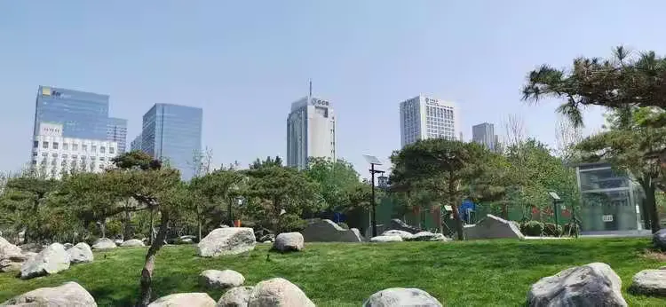 油松造型技术
