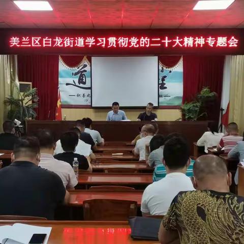 美兰区白龙街道召开贯彻学习党的二十大精神专题会