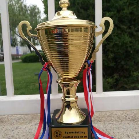 宁夏灵武市青少年活动中心足球队夺得2018年“首都杯”青少年国际学校足球邀请赛季军