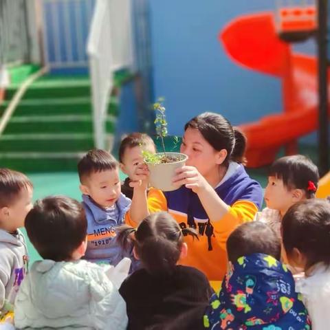 天使之翼幼儿园小小班第四周周报