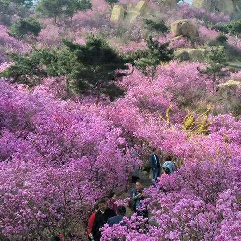 2018年3日31日大珠山