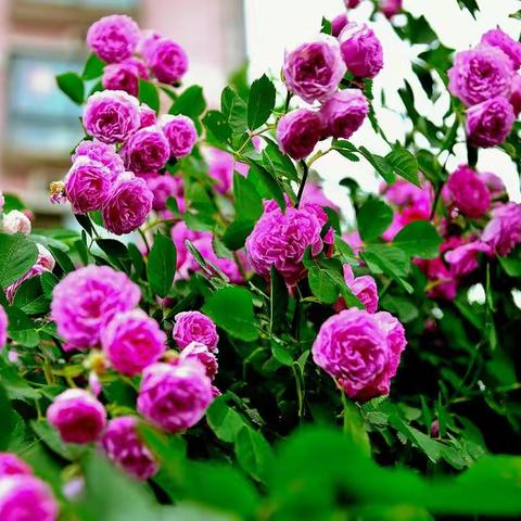 春归何处？寂寞无行路。若有人知春去处，唤取归来同住。