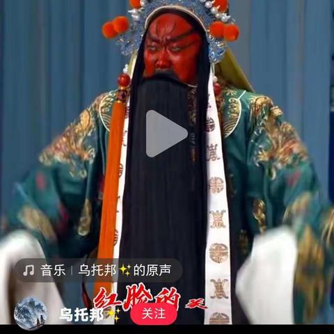 毛毛鱼的美篇