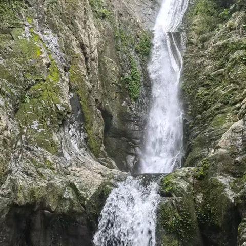 邂逅急性子的雨～五指山山脉仙女溪瀑布