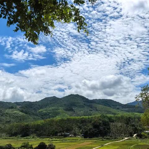 轨迹带我们瞎转悠～响土村-大兴村穿越