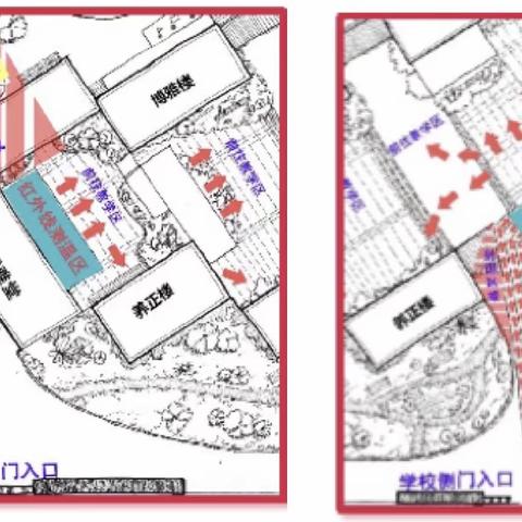 纸上得来终觉浅 “疫情防控”要躬行