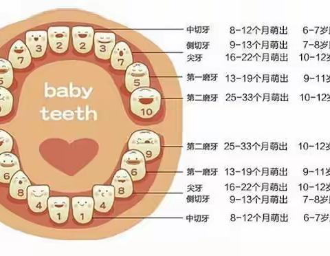 怎样更好保护宝宝们的小乳牙