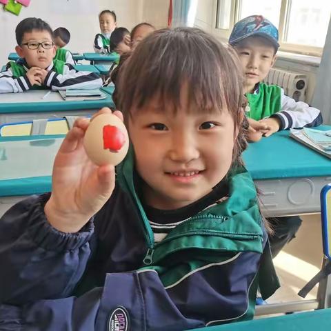母爱——“护蛋行动”，罕乌拉小学一年一班