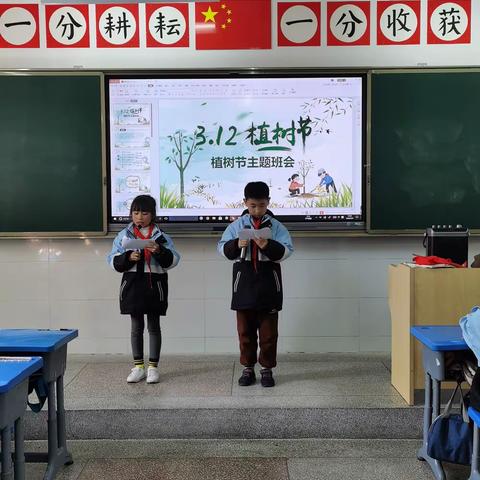 三年级二班班队活动——又一个春天，又一个植树节