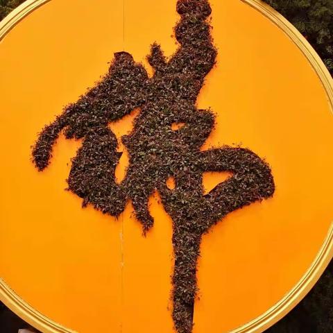 蓦然回首数十载，问君何日还复来