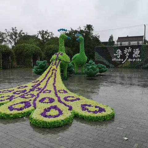 2020年--整个世界都在教我们要学会珍惜