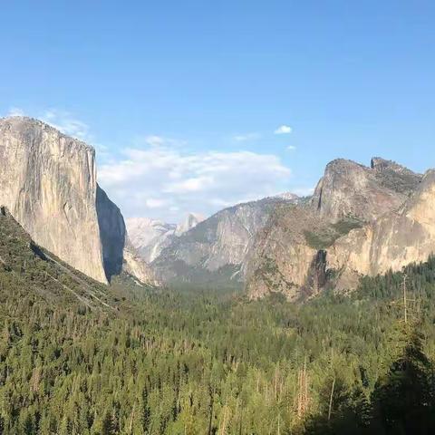 优胜美地国家公园(Yosemite National Park)游