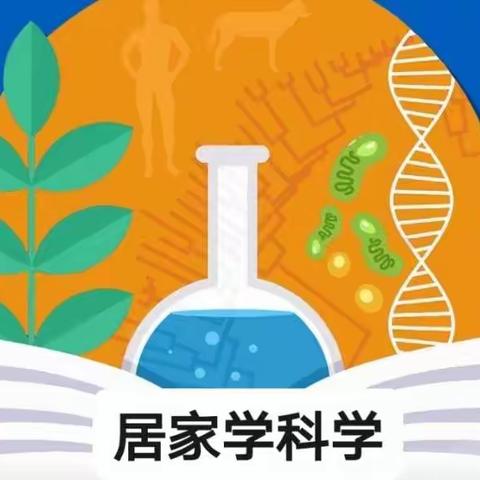 【居家学科学】    投石机灭病毒