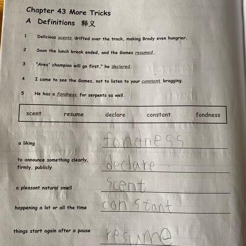 Olympic Champion Day99-100