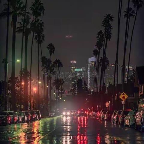 春雨洛杉矶