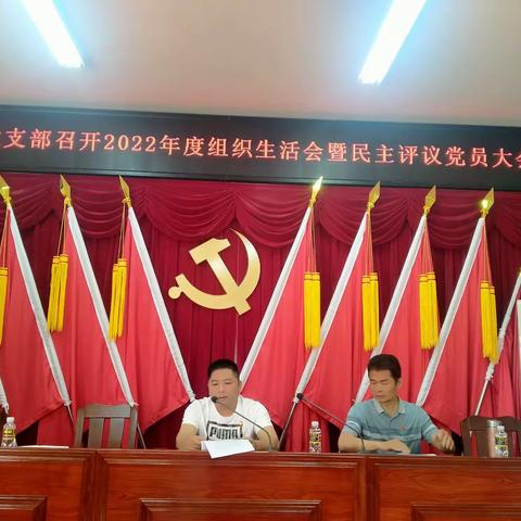 谷桥村党支部召开2022年组织生活会暨民主评议党员大会