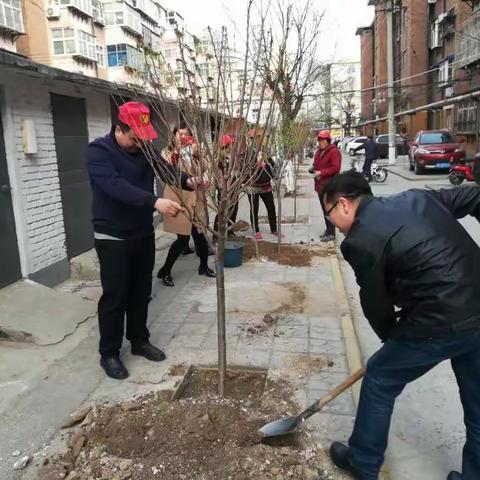 【魅力光明】阳春三月 绿化正当时