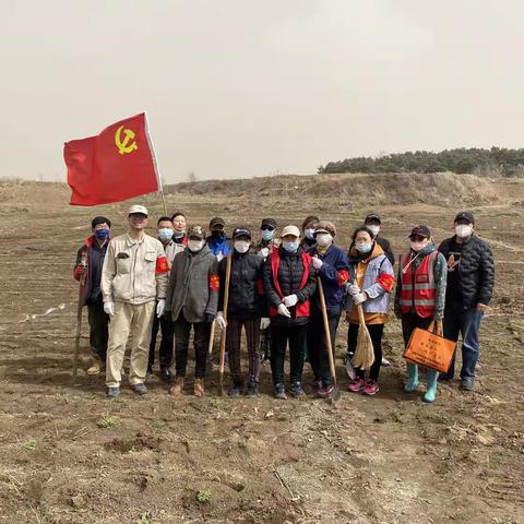 党建引领 民生为先 装点大美刘山——春日暖阳，简易房社区共赴绿色之约