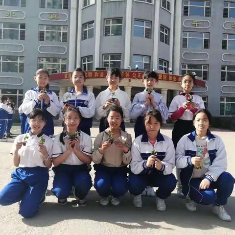 双城区实验小学五年六班远程种植小苗活动纪实——我和小苗共成长
